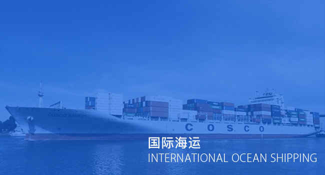 国际海运 青岛斯普瑞德国际物流有限公司